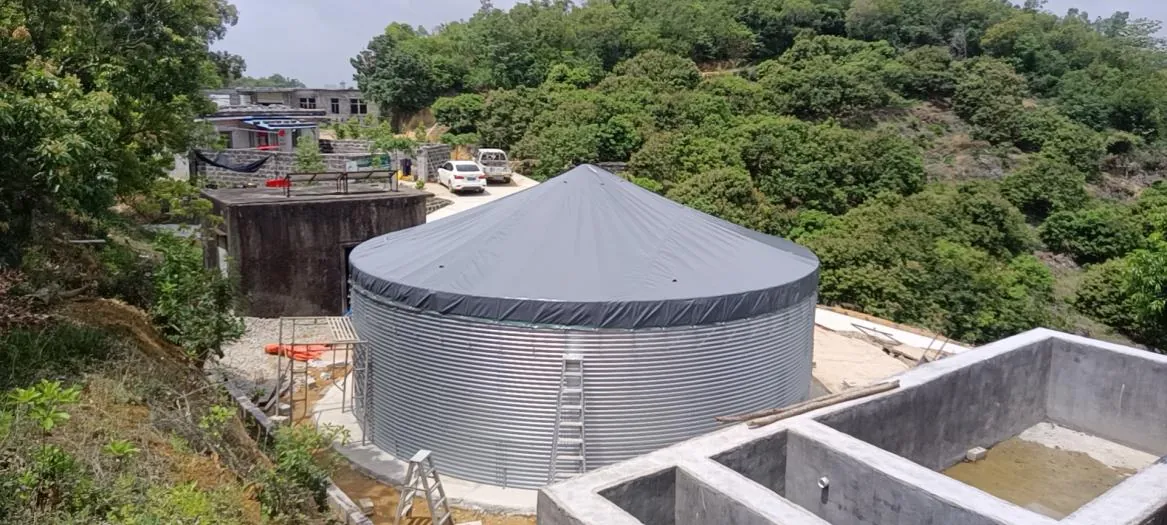 农村人饮水池案例实景