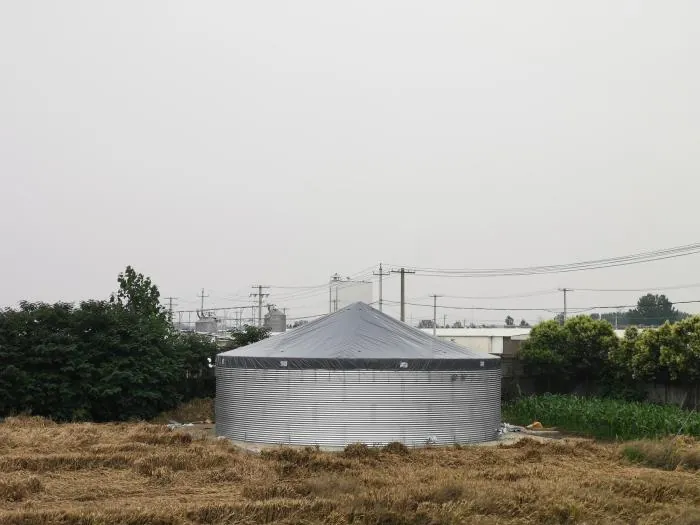 农村人饮水池成功案例